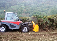 Scrub and Gorse Clearance