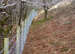Fencing and Path Construction